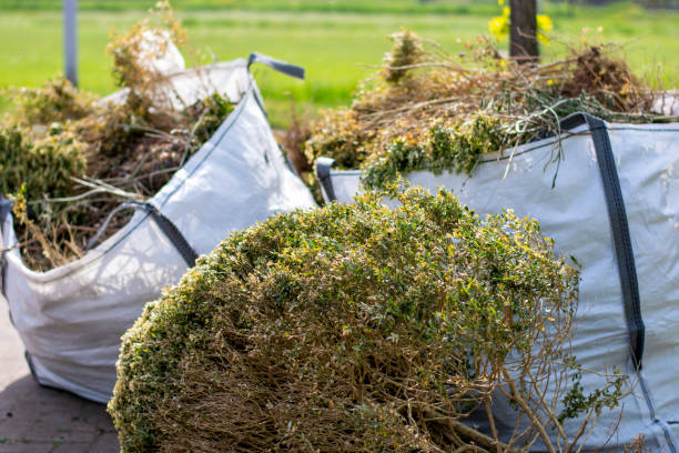 Best Local Junk Hauling  in Elverson, PA